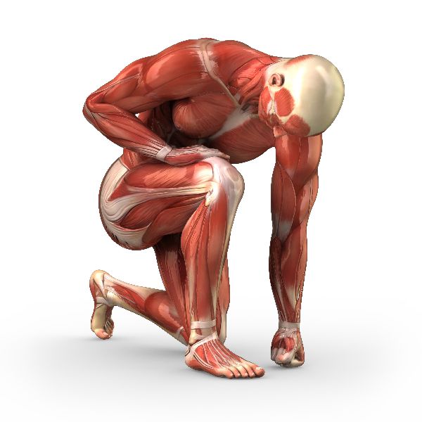 college hunter physical therapy